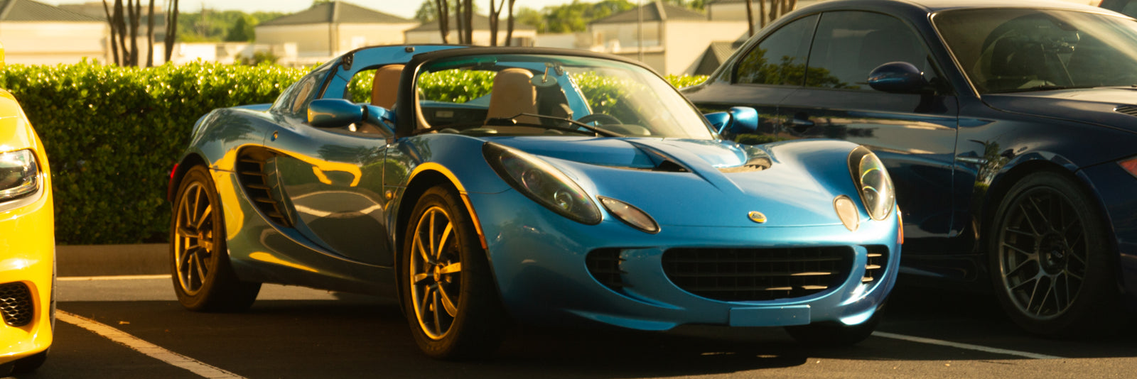 05-12 Elise
